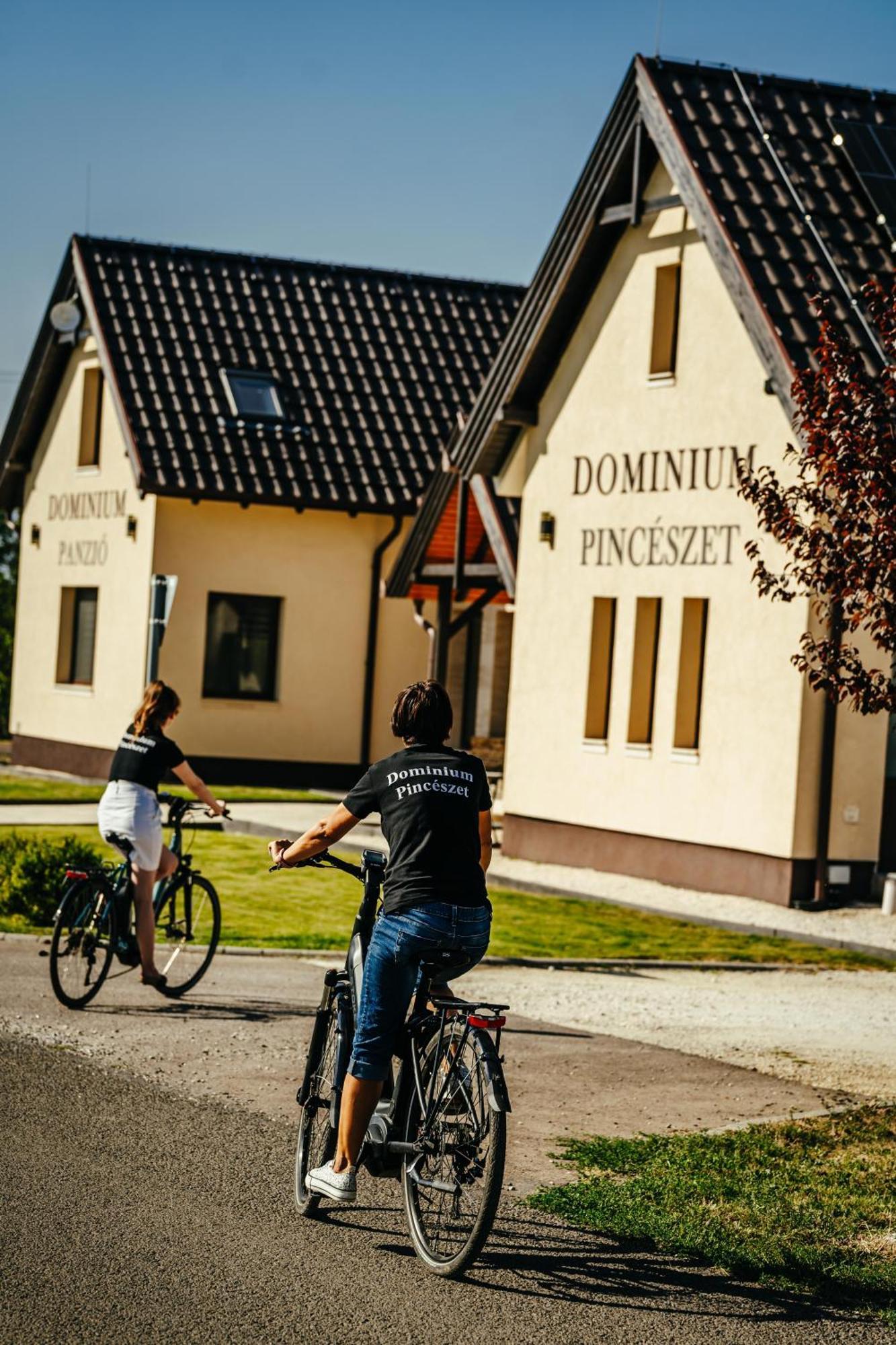 Bed and Breakfast Dominium Pincészet és Panzió Gyöngyös Esterno foto